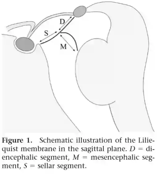 Liliequistmembran Schema