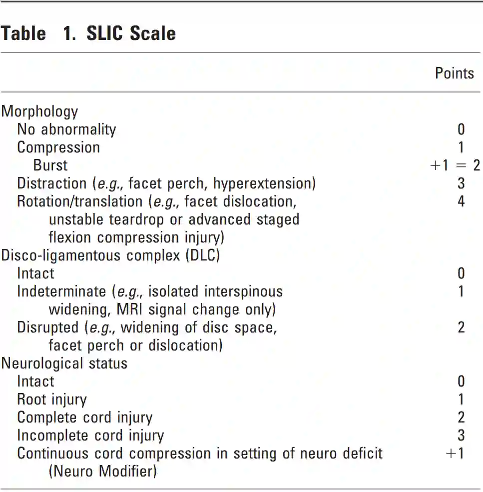 SLIC Score